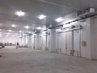 大型冷庫設(shè)備項目